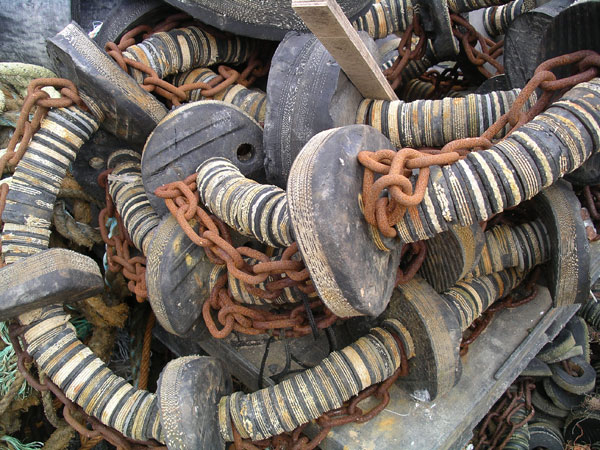 Photograph by Ella Carty