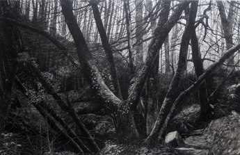 John Howard-Kennall Vale Cornwall