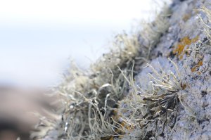 Photo of rocks on St. Agnes, Isles of Scilly