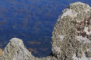 Photo of rocks on St. Agnes, Isles of Scilly