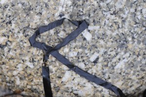 Photo of seaweed on St. Agnes, Isles of Scilly