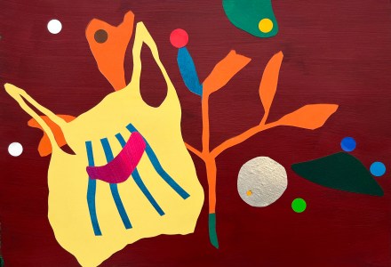 seaweed and sea plastics