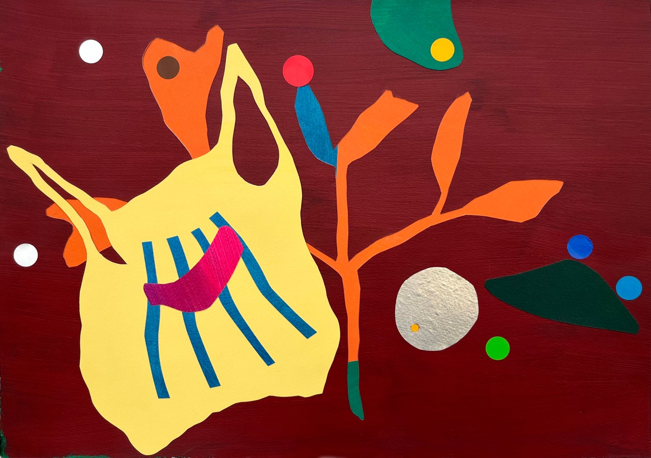 seaweed and sea plastics